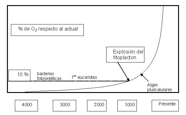 gráfica de evolución del O2